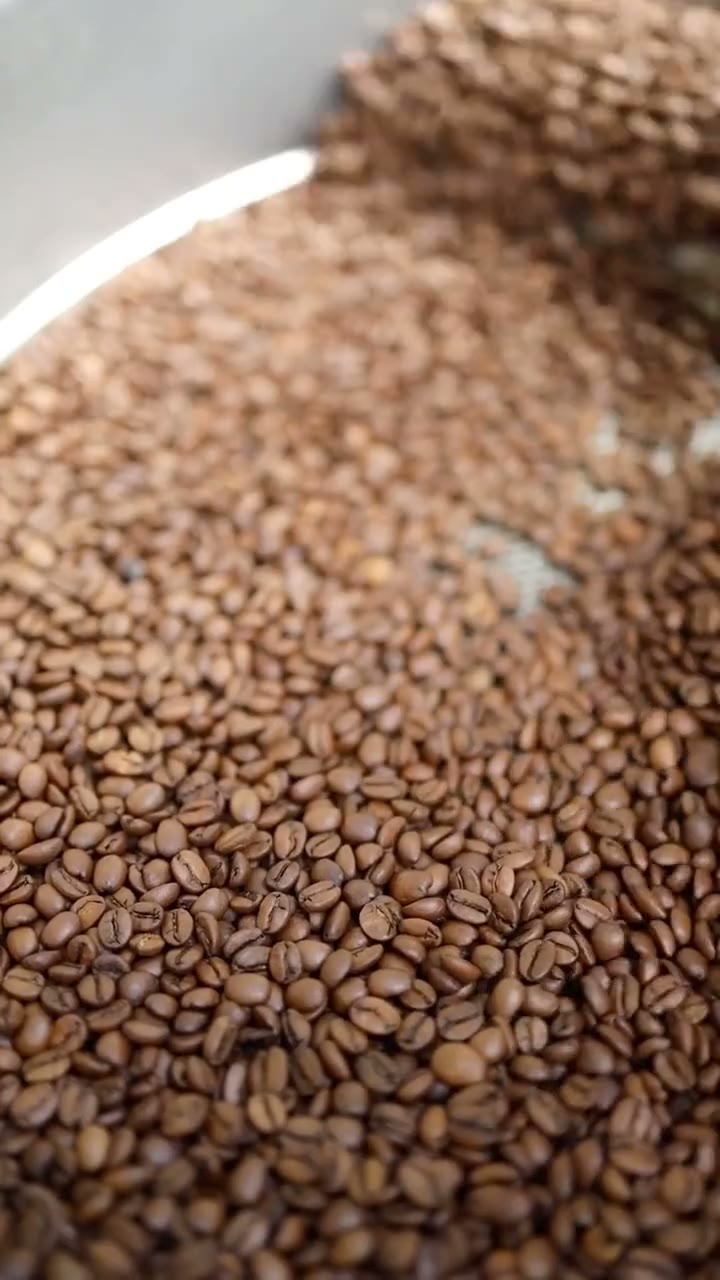 Roasted coffee beans in the open cooling tray at a roastery.